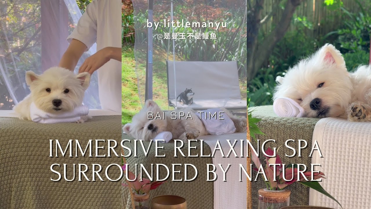 【ASMR】Bai&rsquo;s Immersive Relaxing Spa | Surrounded by Nature