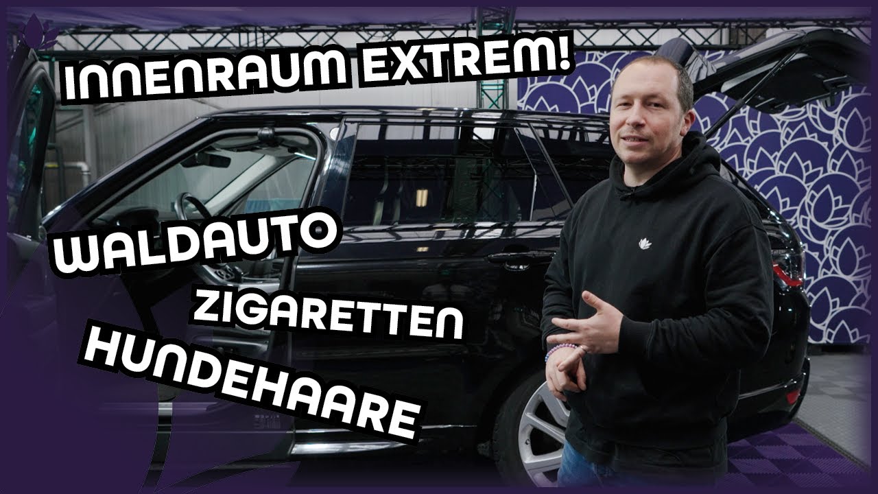 Hundehaare + Raucherauto + Trips in den Wald - Innenraumreinigung extrem!