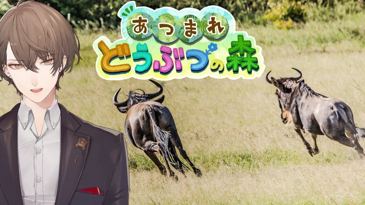 【あつまれどうぶつの森】シリーズ初挑戦！本気の初見でお邪魔します！【にじさんじ/加賀美ハヤト】
