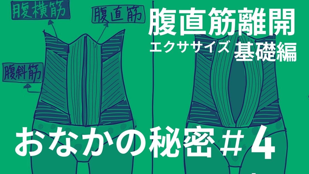 [ 腹直筋離開改善エクササイズ基礎編】まずはこのエクササイズ/ おなかの秘密④ #095