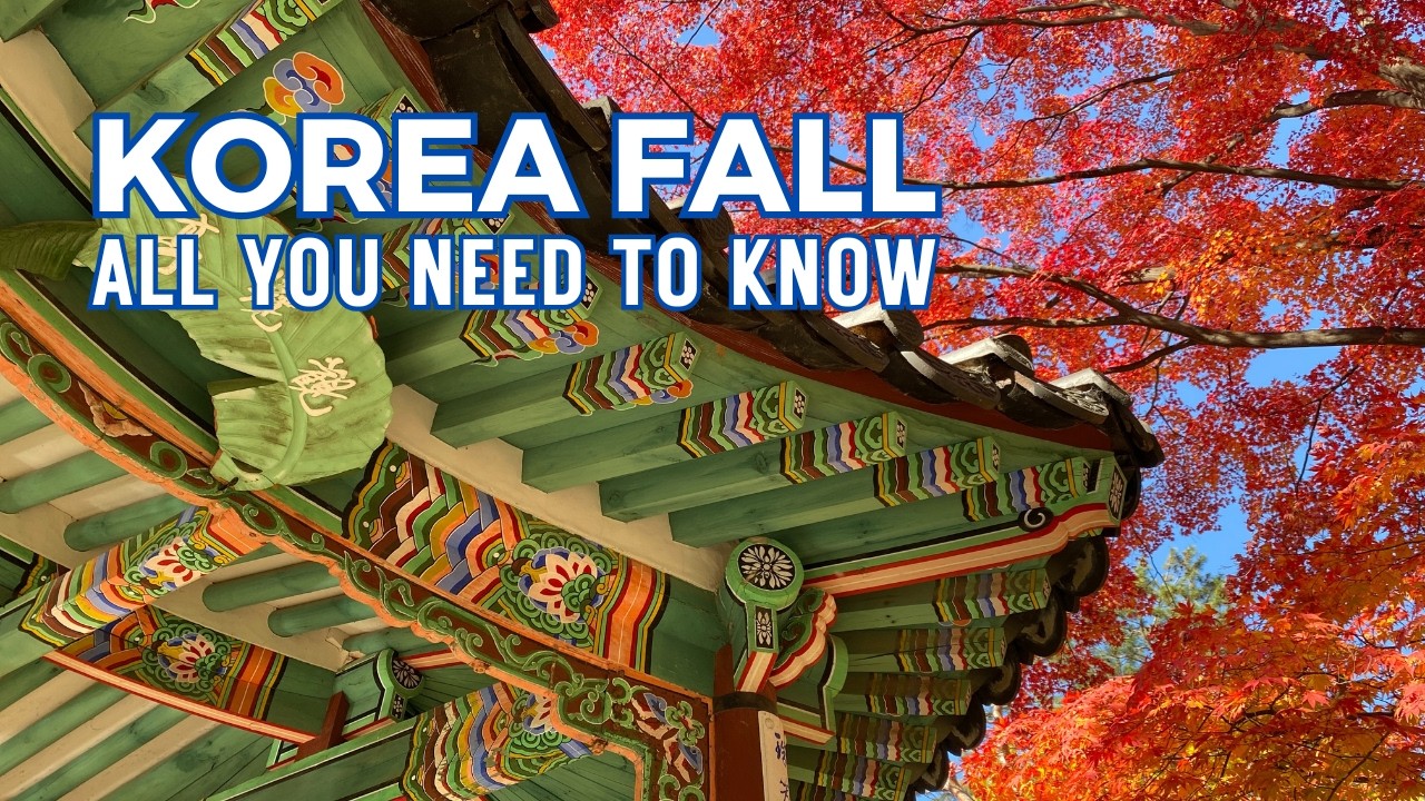 Traveling to Korea in the Fall for Foliage Season - All You Need to Know 🍁