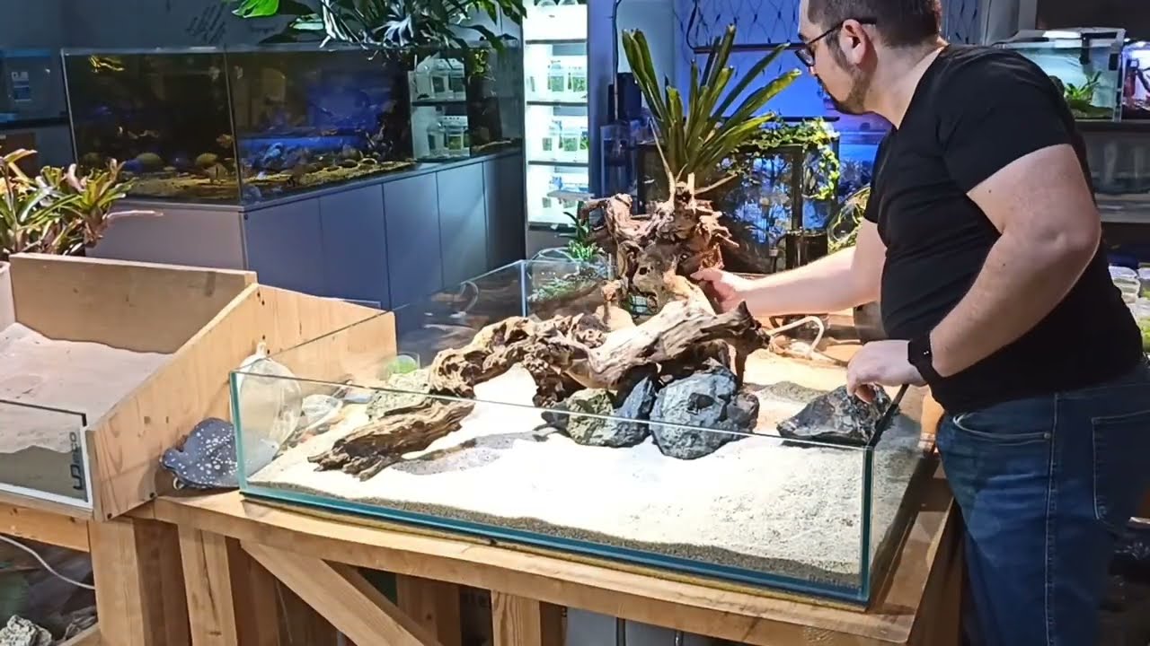 Перезапуск инсулариума, новый дизайн.