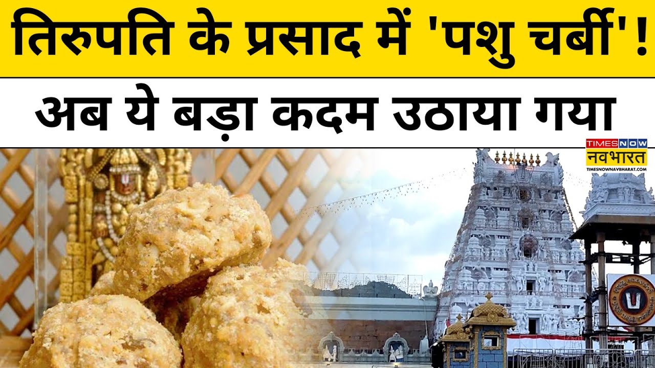 Tirupati Mandir के प्रसाद में पशु चर्बी मिलाने के खुलासे के बाद ये बड़ा कदम उठाया गया !