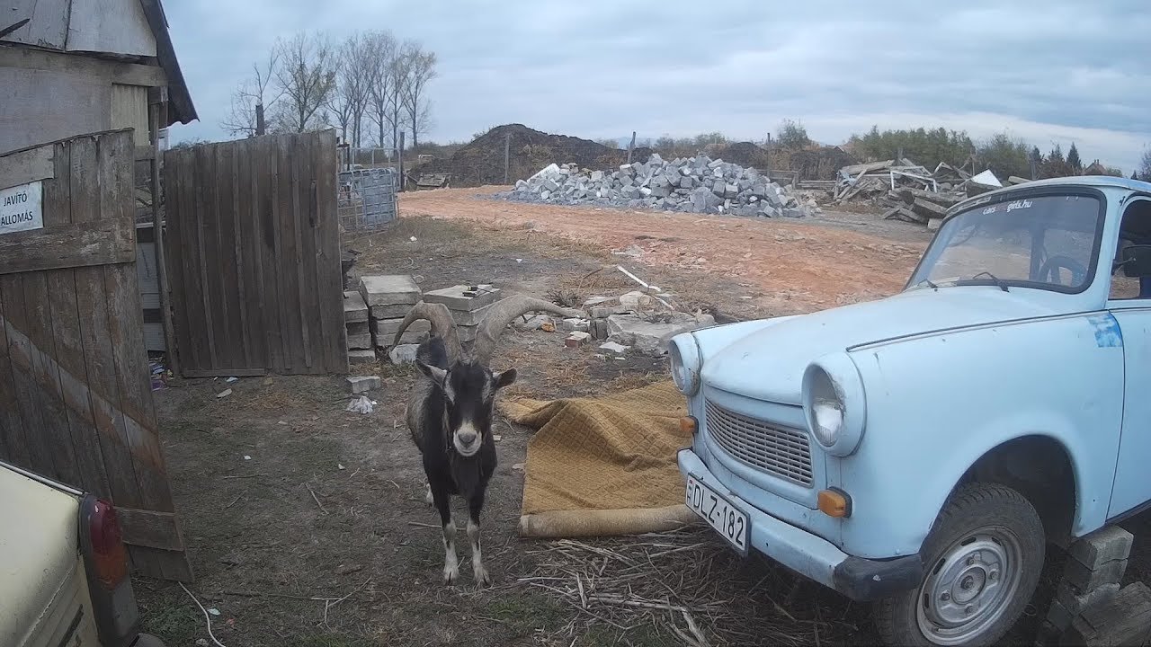 Trabant felborítás kecsével(Trabant szerelés#12)