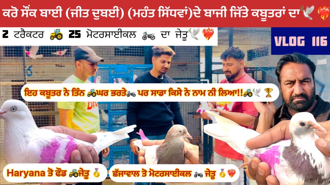 ਕਰੋ ਸੌਂਕ ਬਾਈ ( ਜੀਤ ਦੁਬਈ) (ਮਹੰਤ ਸਿੱਧਵਾਂ ) ਦੇ ਕਬੂਤਰਾਂ ਦਾ 2 ਟਰੈਕਟਰ 🚜 ਤੇ 25 ਮੋਟਰਸਾਈਕਲਾਂ 🏍️ ਦਾ ਜੇਤੂ🕊️❤️‍🔥