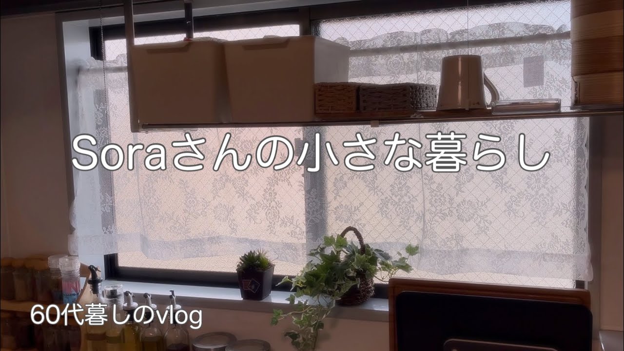 《ひとりと3匹の気ままな暮らし》引っ越ししてひと月/クーよ姫の距離感/久しぶりの図書館/過ぎゆく時間　　#ひとり暮らし  #暮らしvlog 
