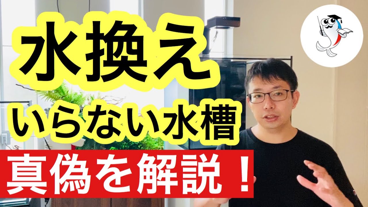 【水換えのいらない水槽】水換え不要水槽の