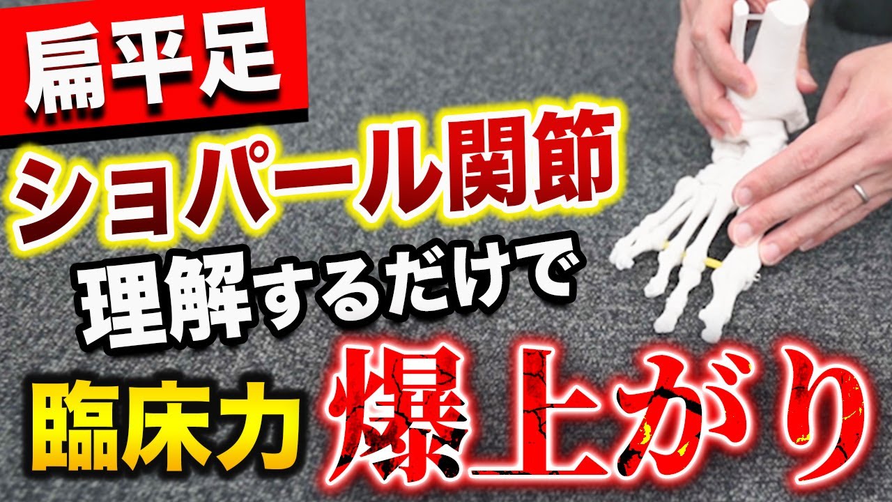 ショパール関節を知ると、扁平足の治療効果が格段に上がる！