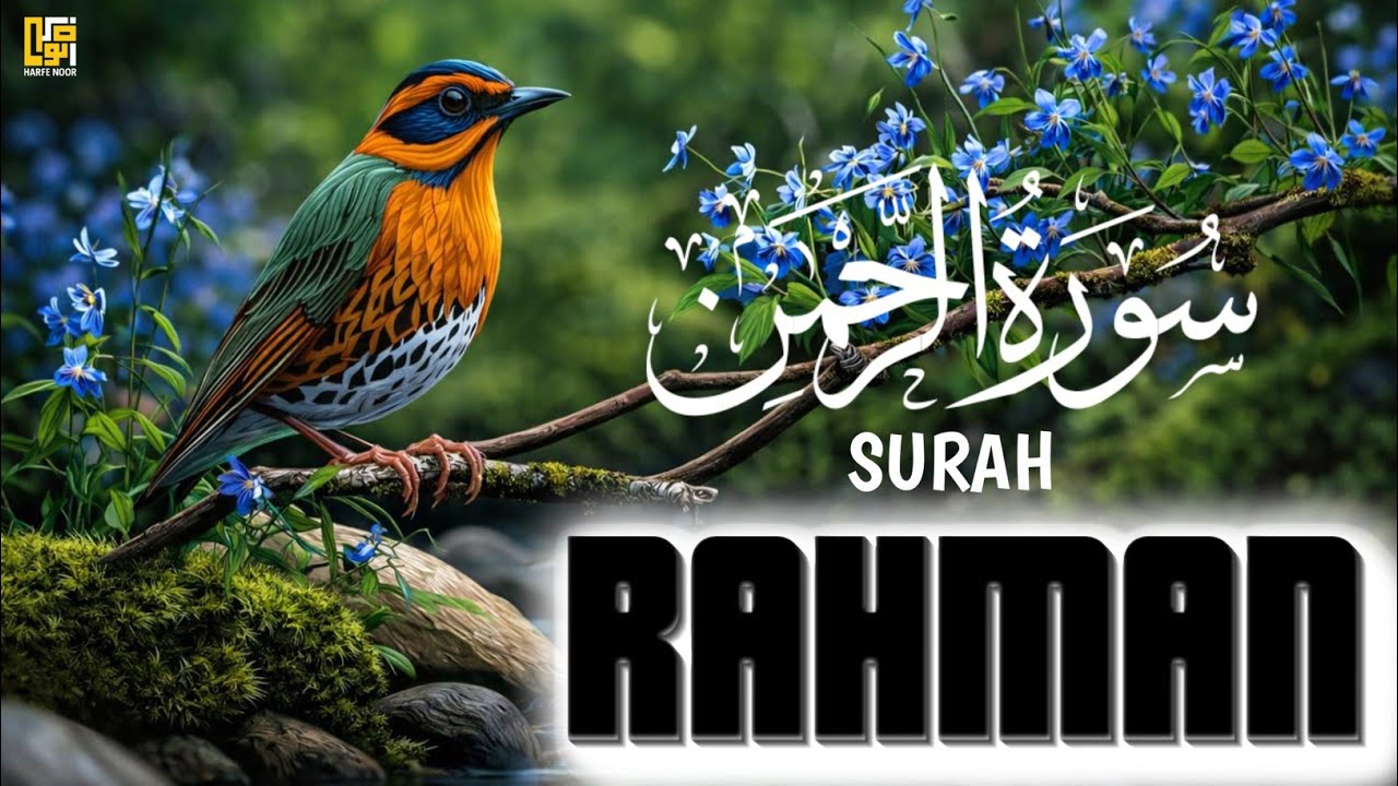 Surah Ar Rahman سورۃ الرحمٰن | Ultimate Healing Quran For Peace & Deep Sleep | 