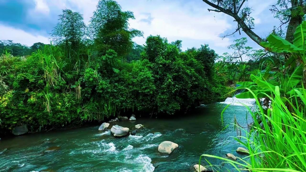 Calm River Ambience 24/7 | Nature Sounds for Deep Sleep, Focus & Meditation