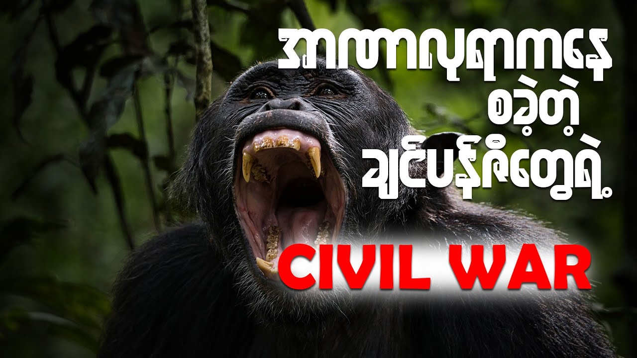 အာဏာလုရာကနေ စခဲ့တဲ့ ချင်ပန်ဇီတွေရဲ့ ပြည်တွင်းစစ်