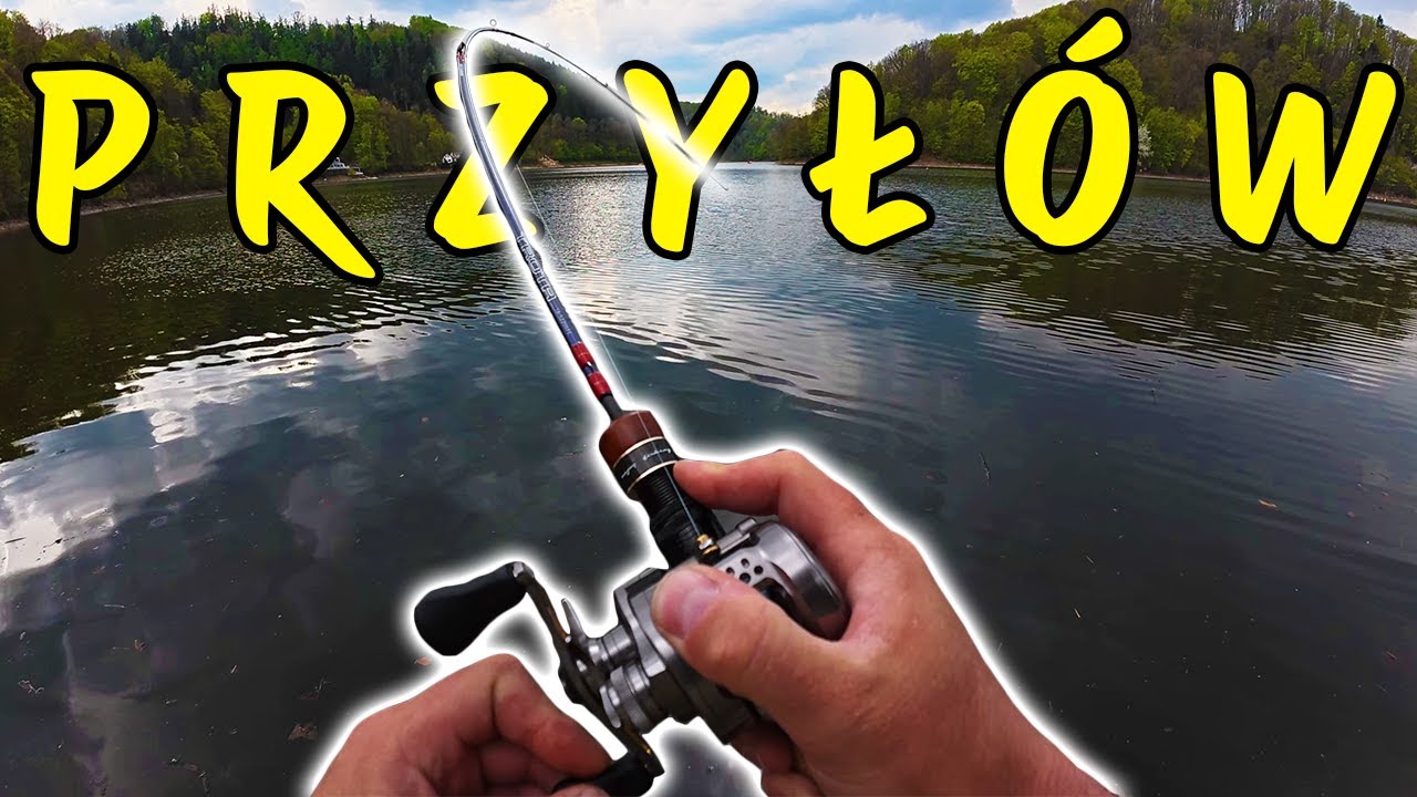 OKONIE Z ZAPORÓWKI. W końcu coś się działo. #wędkarstwo #bfsfishing #okoń