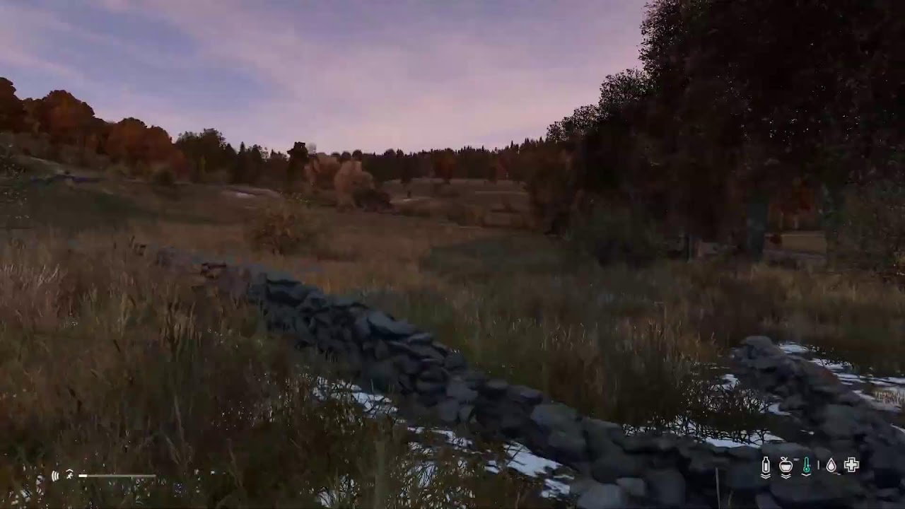 DayZ Livonia Wipe Day
