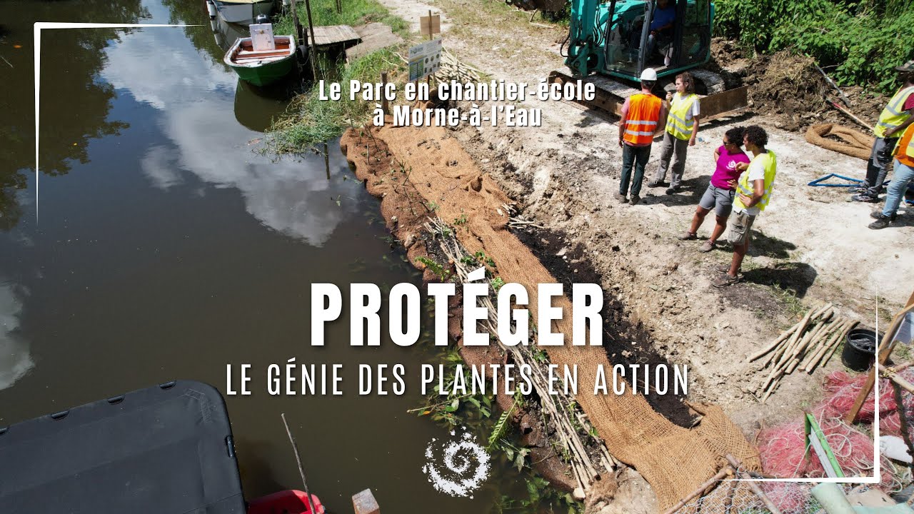 Le génie des plantes en action avec le Parc national de la Guadeloupe à Morne-à-l’Eau