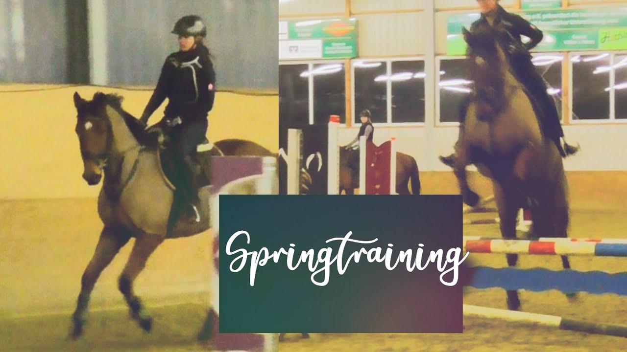Gymnastik und Wendungen  |  Springtraining | Vom Rennpferd zum Reitpferd