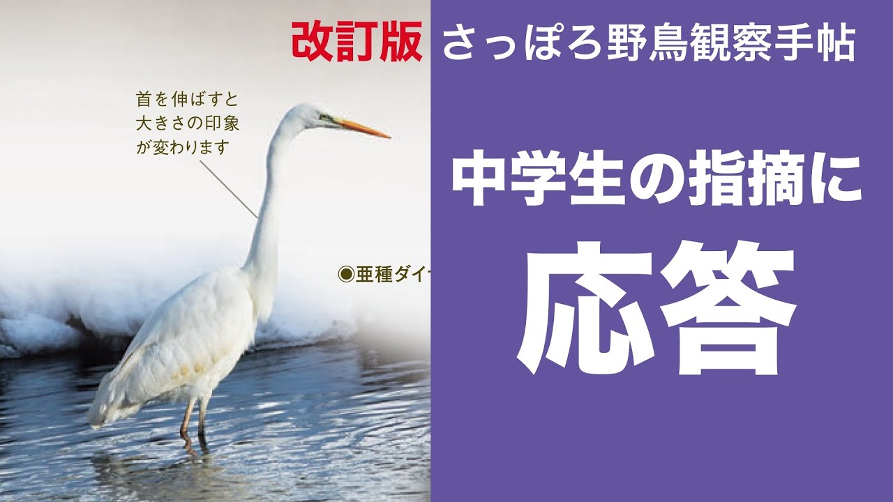 メインフォトグラファー登場！「ダイサギ」追加掲載の裏話も。『改訂版 さっぽろ野鳥観察手帖』を徹底解説〈札幌バードトーク 2024 冬 ❷〉