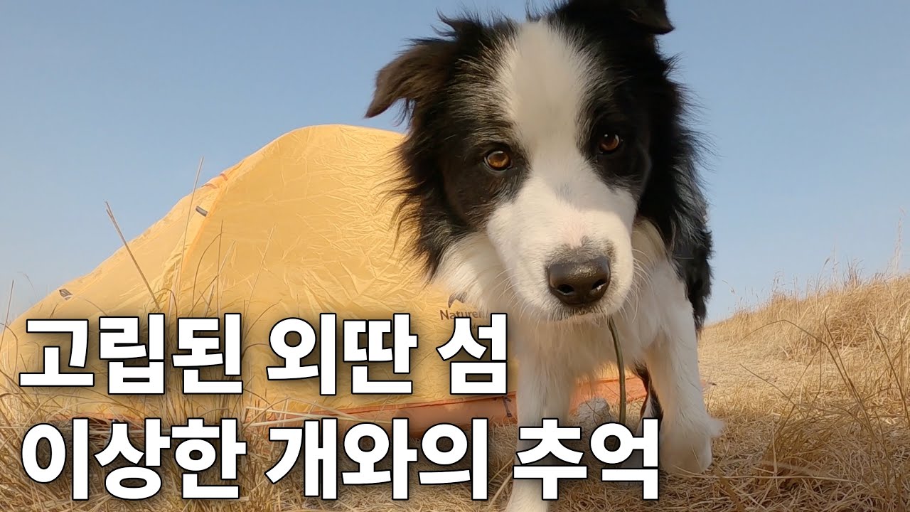 한국의 갈라파고스라 불리는 섬에서 고립돼보기