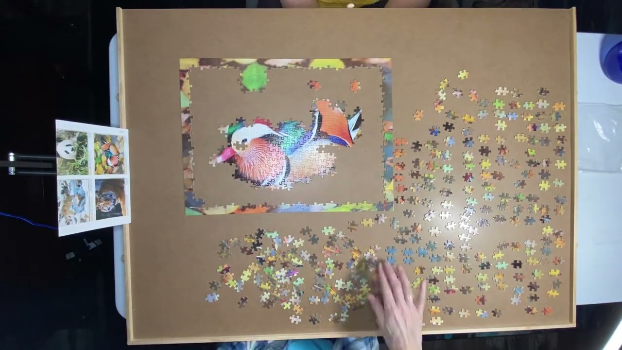 Family V Series - Ep 9 - Panda, Duck, Turtle, Wolf