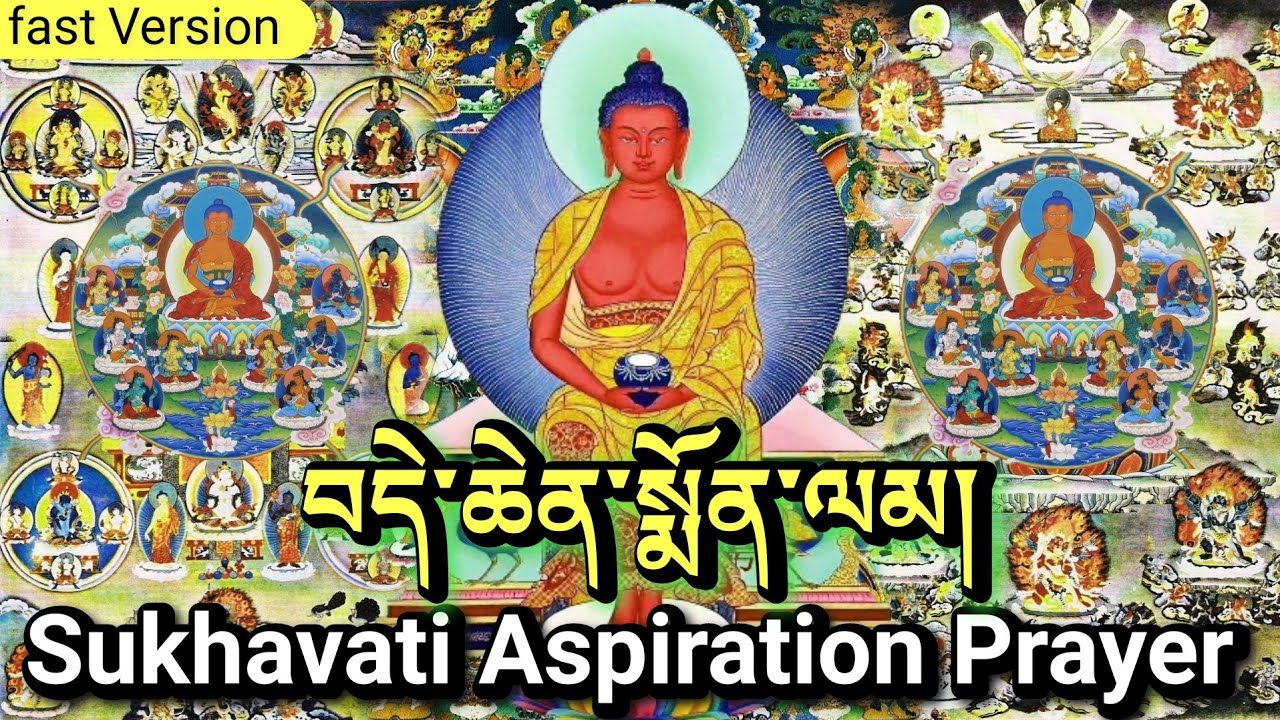 ☸Sukhavati Aspiration Prayer (Fast Version) Amitabha Buddha Prayer|བདེ་ཆེན་སྨོན་ལམ།|Pureland Buddha