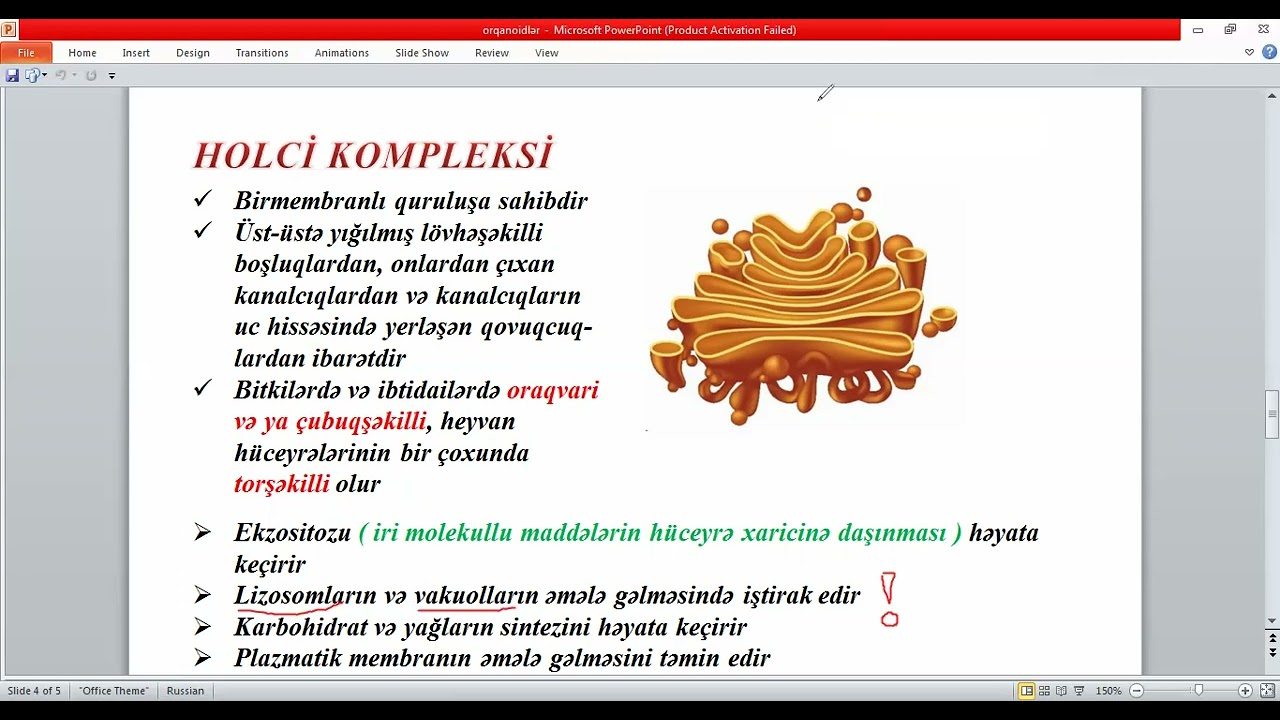Birmembranlı orqanoidlər ( MİQ və Sertifikasiya hazırlığı 055-634-73-41 )