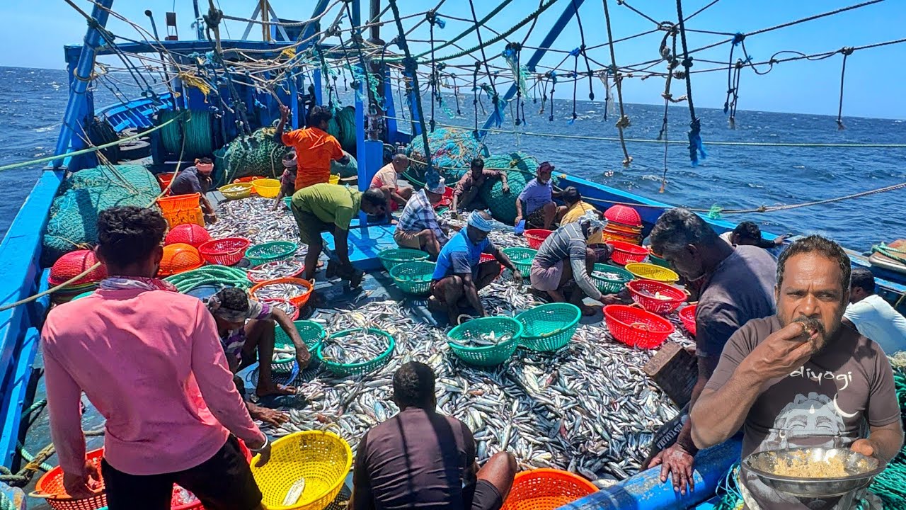 OMG 😱 Trawler Net Fishing 💢❗2.5 Tons of  Fishes in One Haul | Deep Sea Fishing