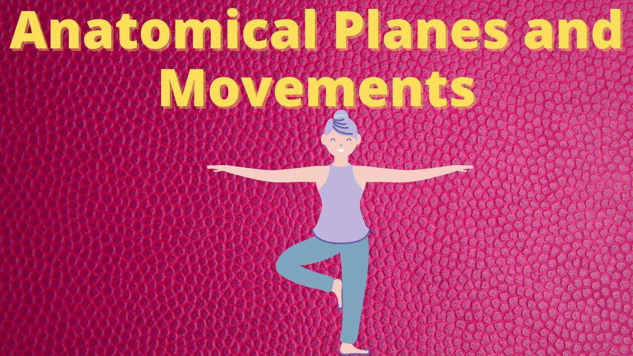 Anatomical planes and movements