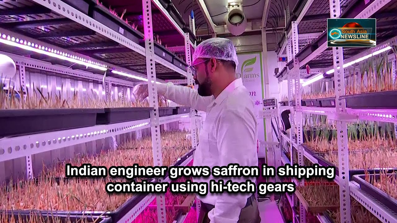 Indian engineer grows saffron in shipping container using hi-tech gears
