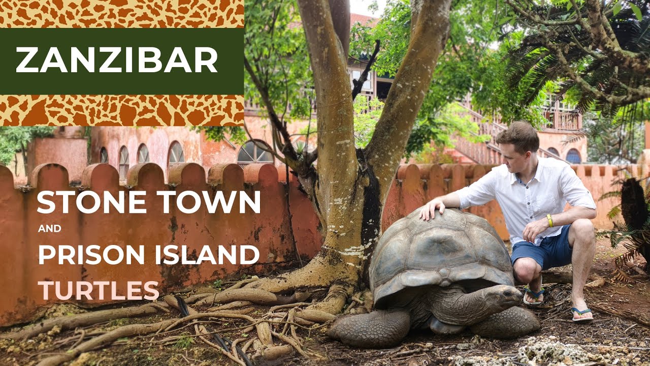 Zanzibar: Stone Town, Prison Island and Turtles | 2021