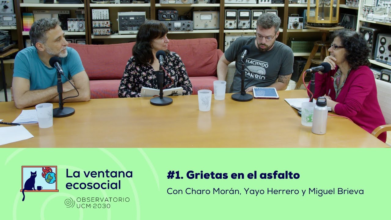1. La ventana ecosocial | Grietas en el asfalto