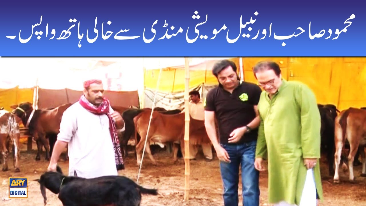 Mehmood Sahab Aur Nabeel Maweshi Mandi Se Khali Haath Wapis - Bulbulay