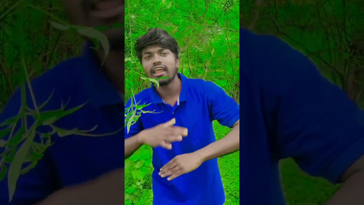 nazar lagawen ting kuri santali video /nazar lagawen ting kuri/nazar lagawen ting kuri santa status