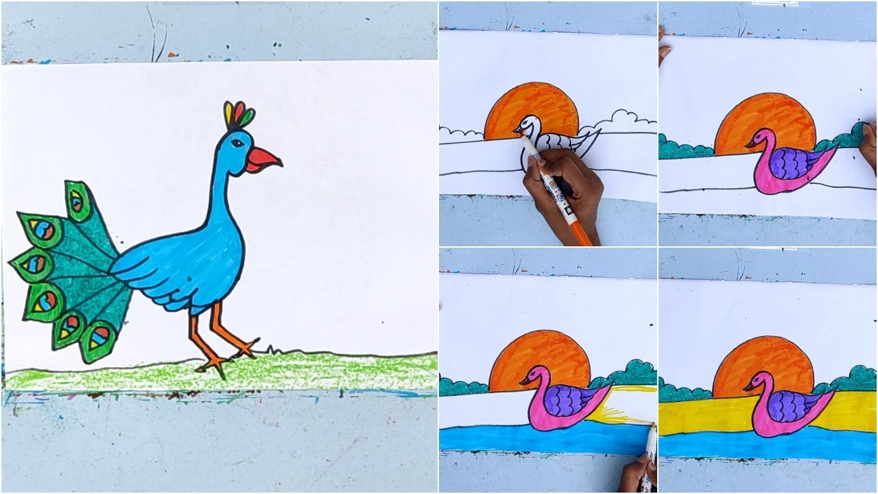 Step by step drawing of a swan and peacock easy | Mastering the Art of Drawing