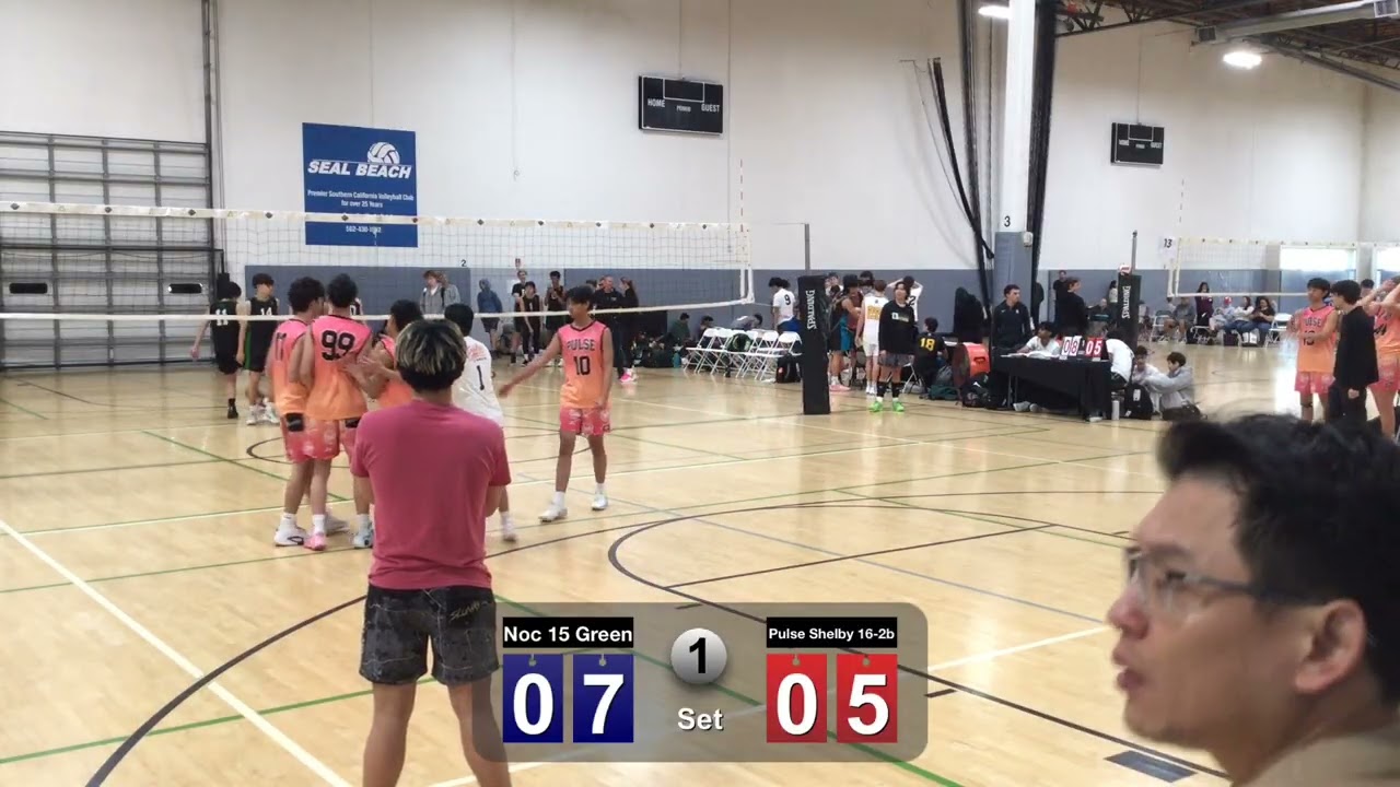 Pulse Shelby 16 vs. Noc