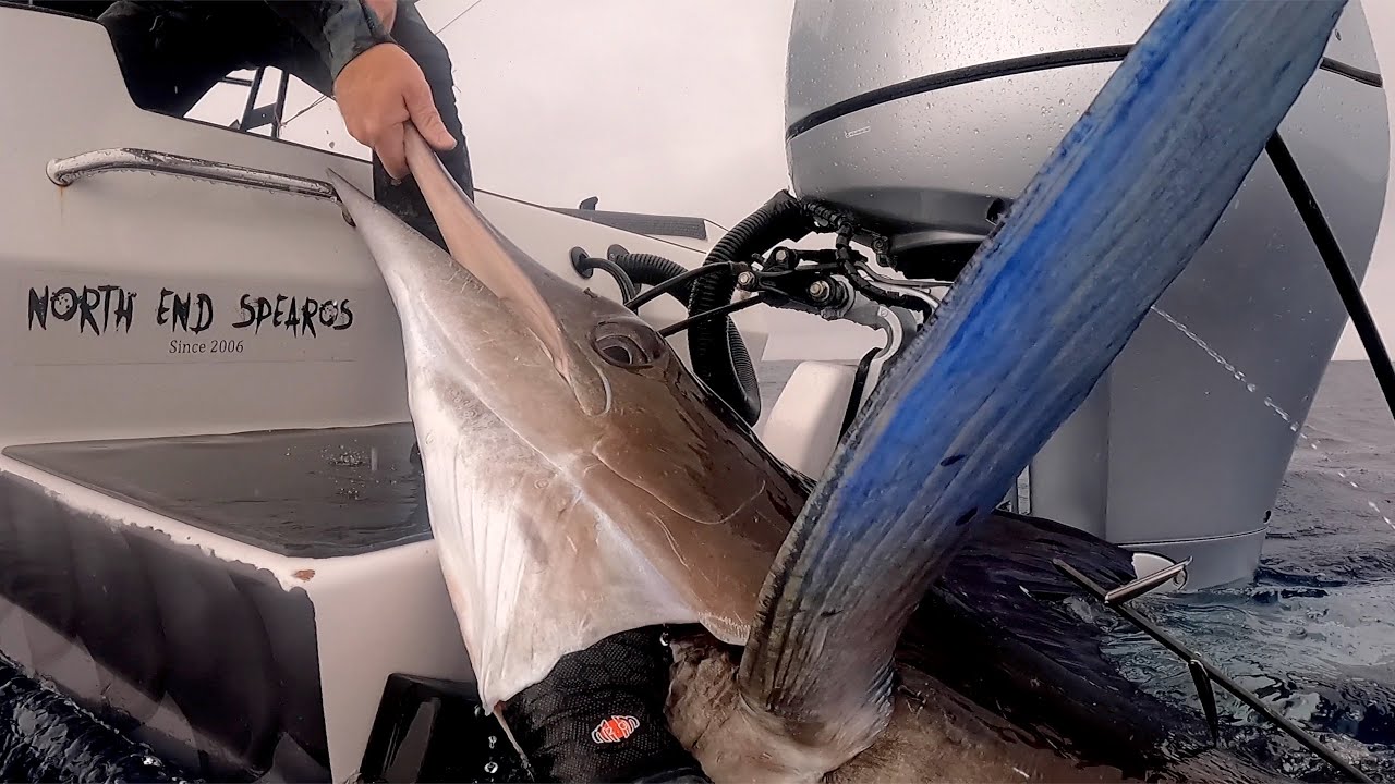 SPEARFISHING NEW ZEALAND