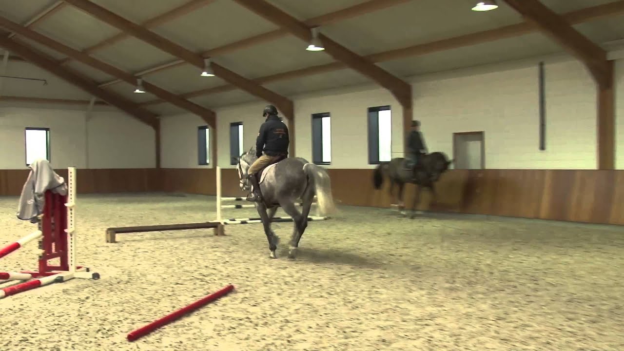 Rob Ehrens: Gymnastiek voor je paard