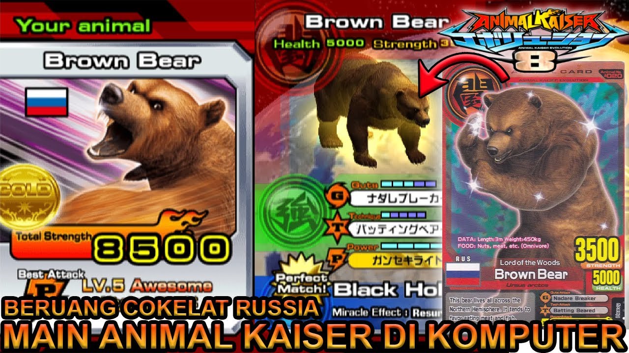 NYOBAIN BERUANG DARI RUSIA BROWN BEAR DI KOMPUTER !!! - ANIMAL KAISER EVOLUTION PC
