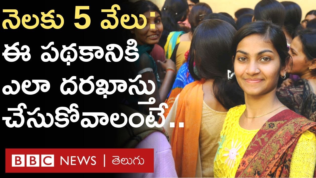 National Youth Volunteer Scheme: How to apply for this scheme that provides Rs. 5 thousand per month?