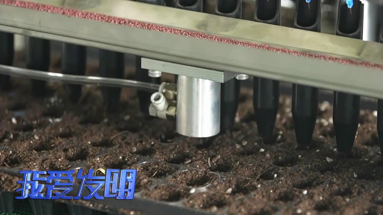 蔬菜种植户的福音！他让种子坐上了流水线，各种各样的种子都能轻松应对，从此不再为育苗发愁！|「我爱发明」20230612