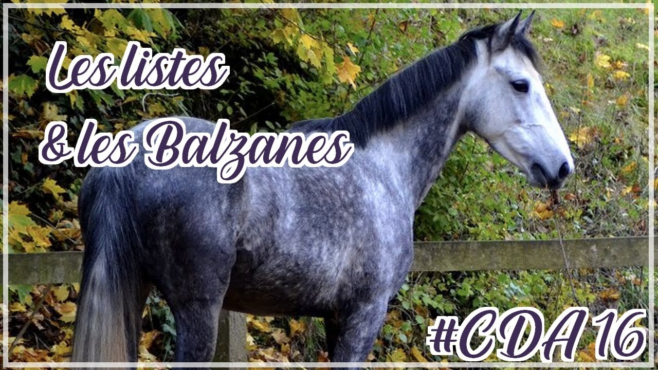 LES LISTES ET LES BALZANES DES CHEVAUX ! - #CDA 16