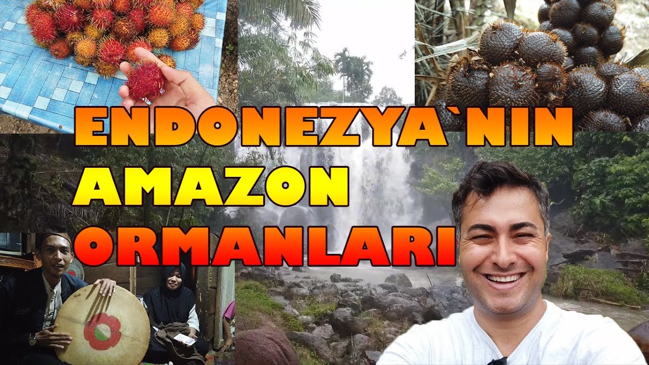 ENDONEZYA`NIN AMAZON ORMANLARI-TROPIKAL MEYVELERI VE EFSANE GUZEL DOGAL YASAM!