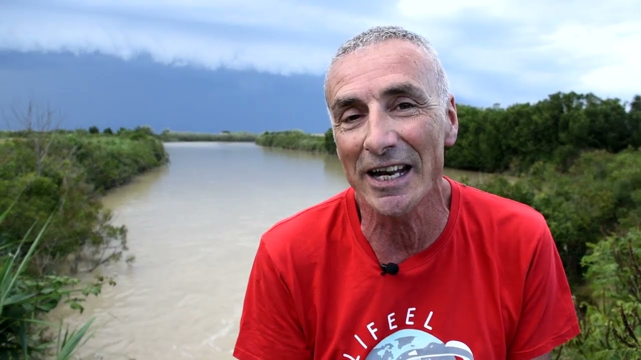 Liberati storioni e anguille nel Delta del Po