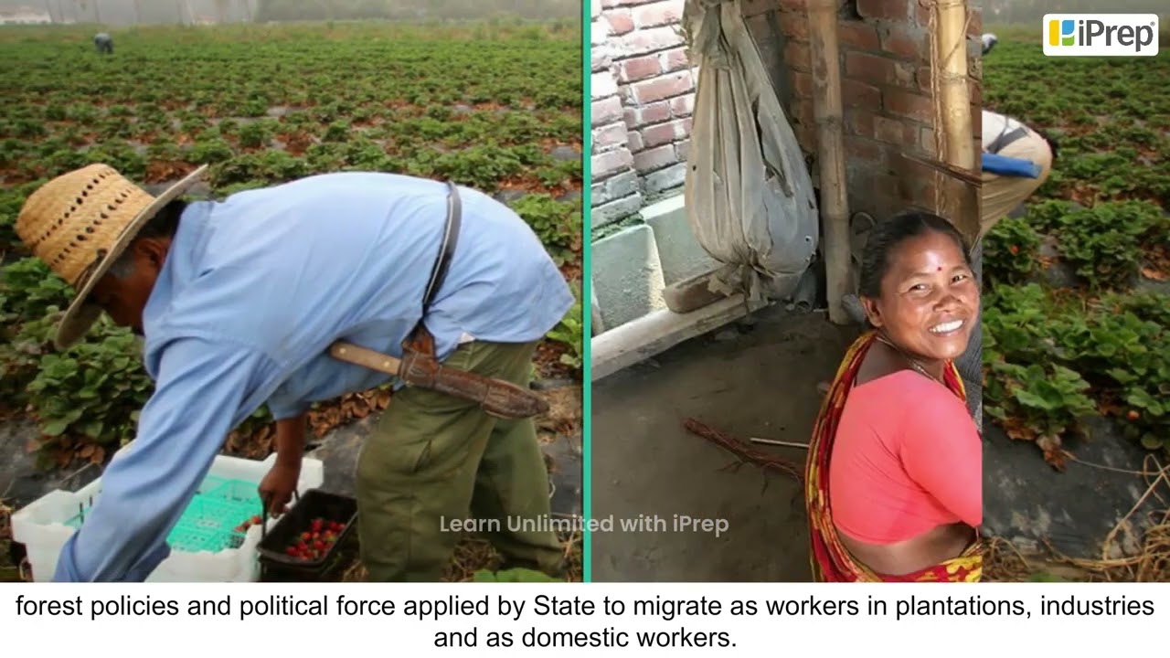 Adivasis and Development | Understanding Marginalization | Political Science | Class 8 | iprep