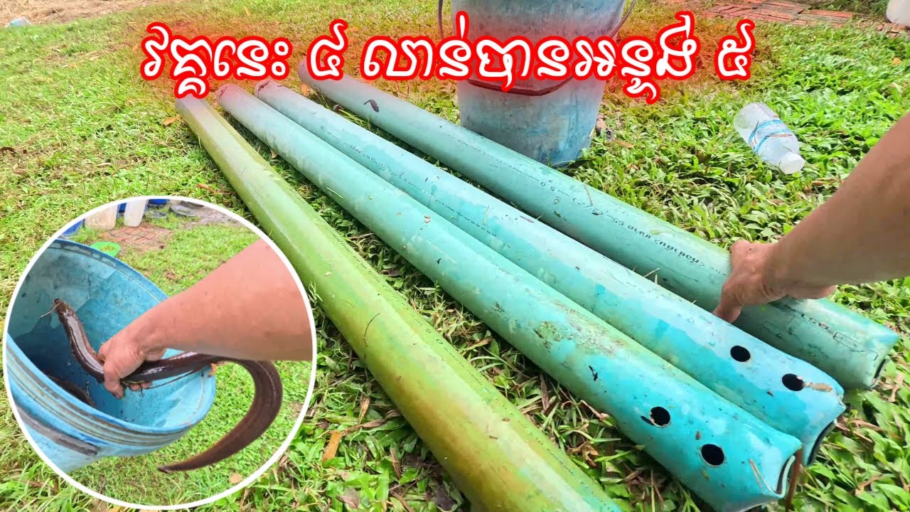 បួនលាន់ចូលបានអន្ទង់ប្រាំ ដាក់លាន់ក្នុងអណ្ដូង វីដេអូទី៨