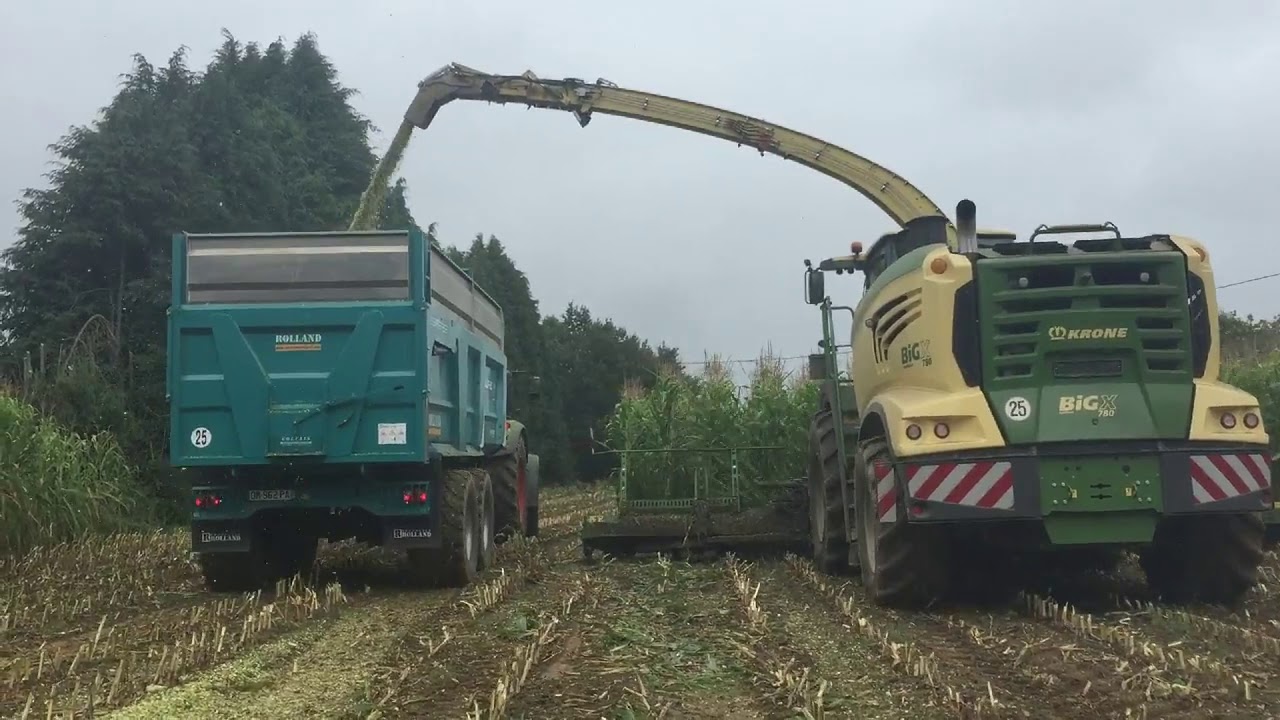 Ensilage 2k19 avce une Krone 780 en 12 rang