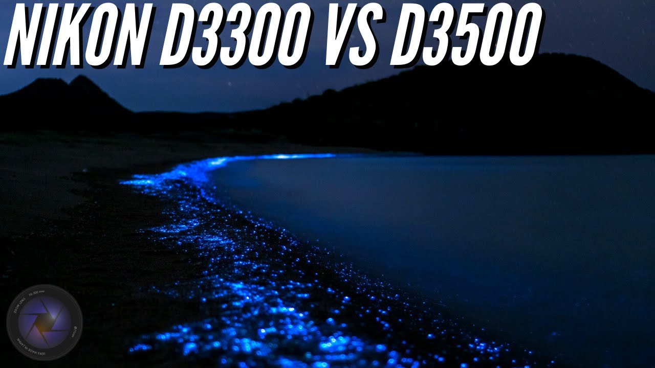 Nikon D3300 vs D3500 Night Settings 📸 Image Quality