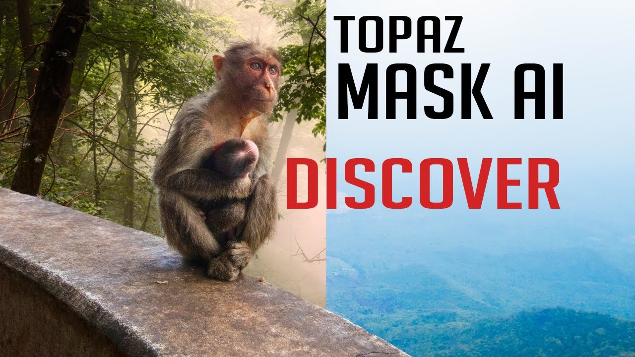 УЧЕБНОЕ ПОСОБИЕ ПО TOPAZ MASK AI: Замена фона в Mask AI
