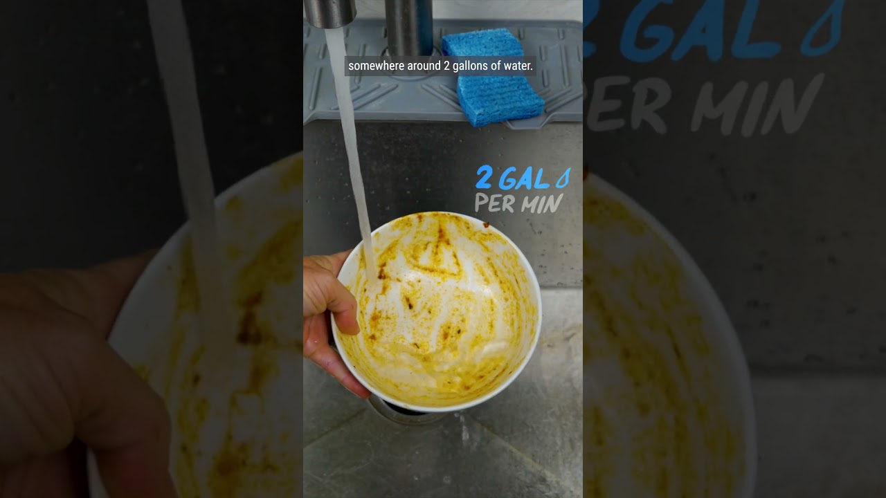 Should you pre-rinse dishes? YES or NO?