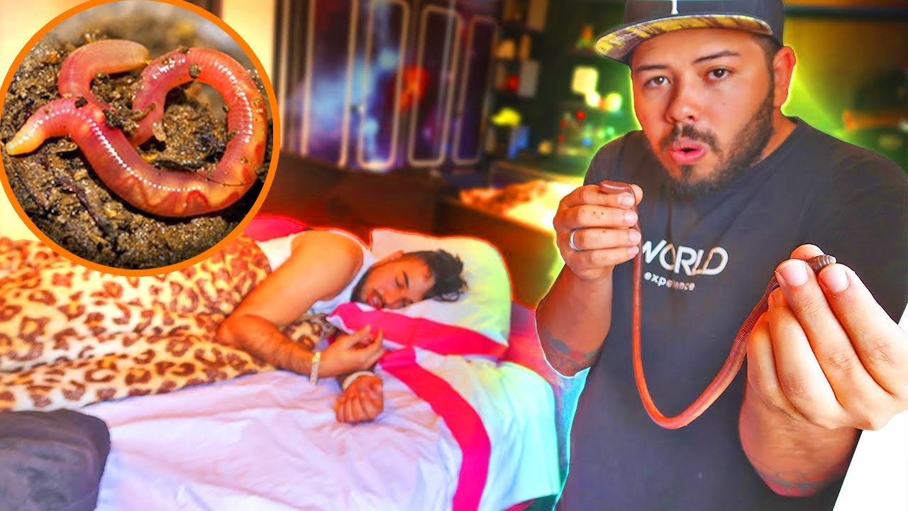 ACORDEI MEUS AMIGOS COM UMA MINHOCA GIGANTE