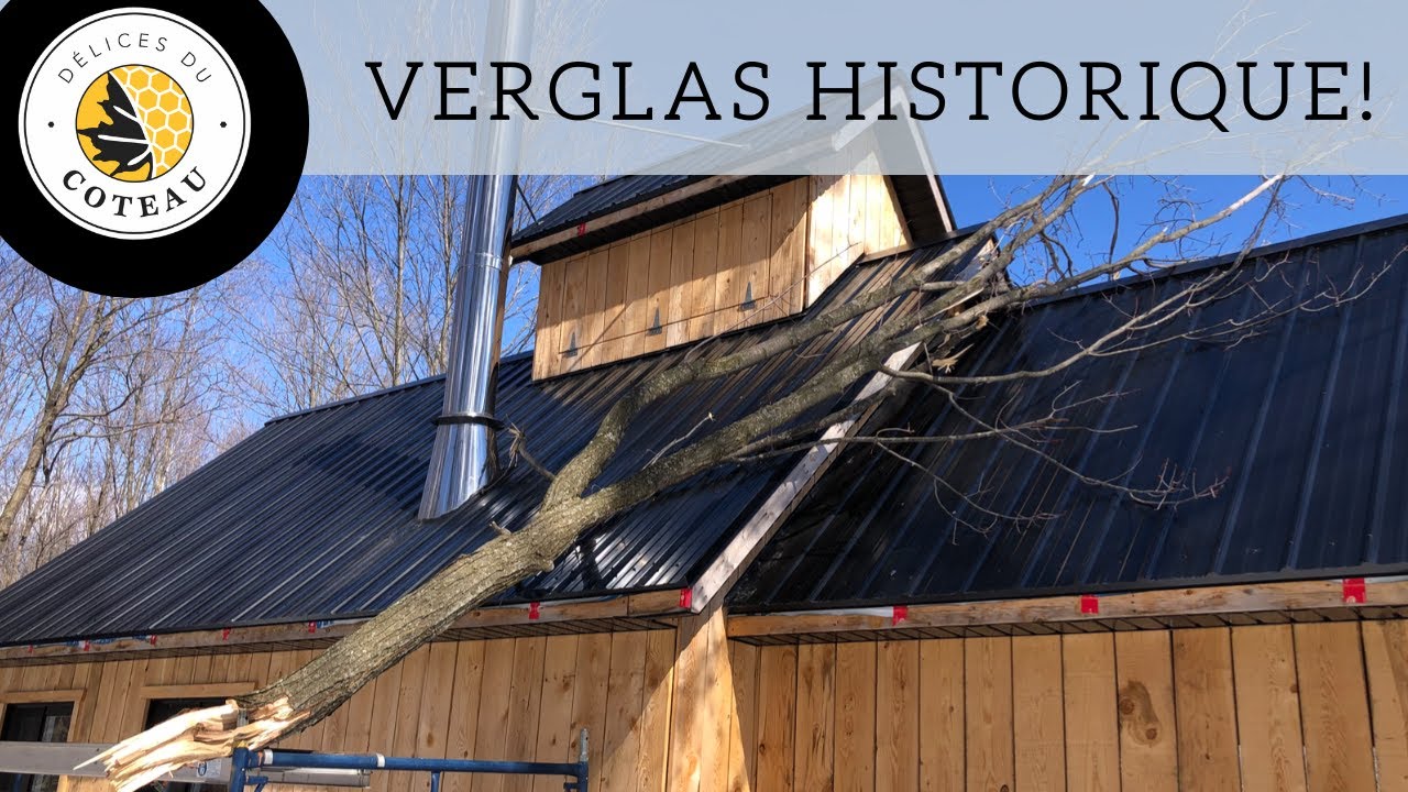 Verglas historique + on lave tout; évaporateur, flottes, bassin