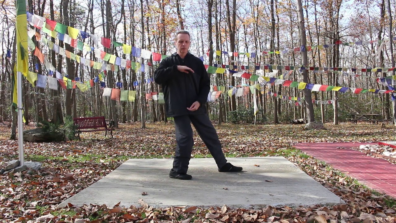 Tai-Chi How To/Beginners/Grasp the Sparrows Tail #6
